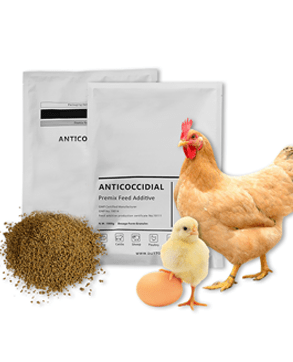 poultry anticoccidial